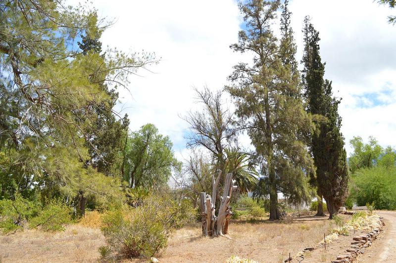 4 Bedroom Property for Sale in Ladismith Western Cape
